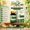 cao hoa nở ngày đất