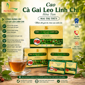 cao cà gai leo hòa tan linh chi mai thị thủy
