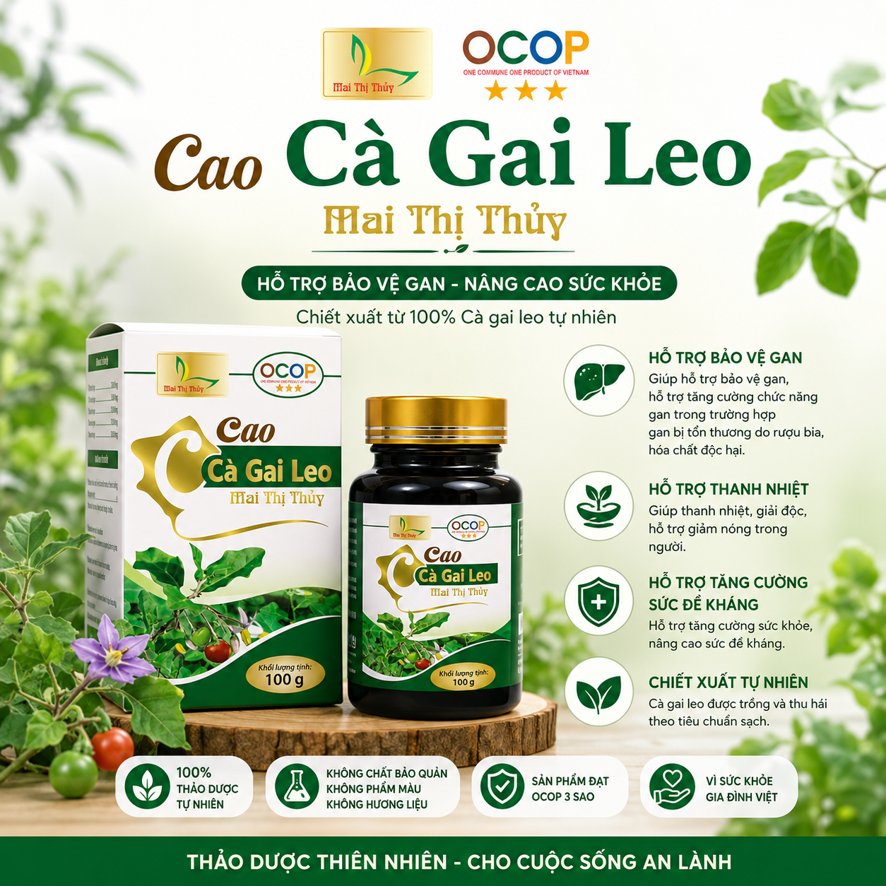 cao cà gai leo