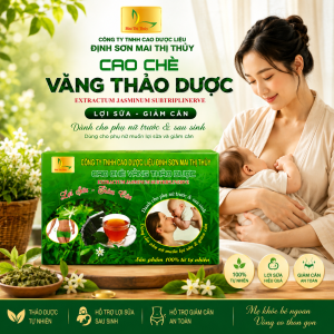 cao chè vằng lợi sữa