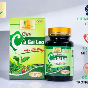 Cao cà gai leo