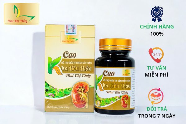 cao kim tiền thảo mai thị thủy