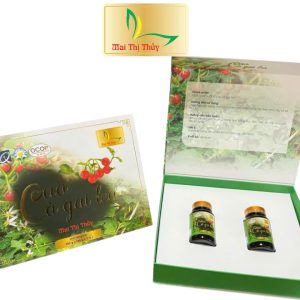 Cao Cà Gai Leo – Mai Thị Thủy 300g (100g x 3 lọ)